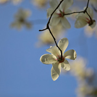 �Һ���ף���ů������̧ͷ�����������˼��延