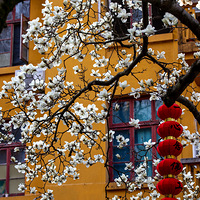 ��ϲ��500�������Ĺ�����������������Ʈ���˼䣡2023.03.08