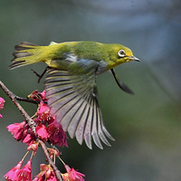 ɽӣ���ϵ�������10��