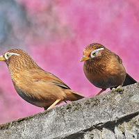 ��ü��Ĵ���