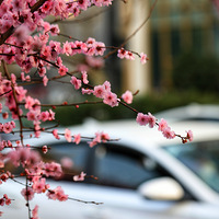 ����÷��2��