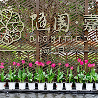 ������ӭŮ��������S԰��������Ժ