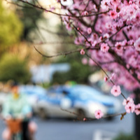 ����÷��3��