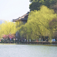 �����Ĵ���