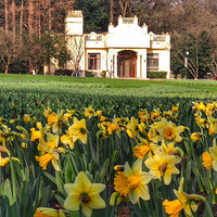 ����̫����