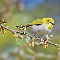 ���������ϵ�������2��