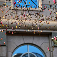 ǧ������������������ҡ������ѡ�