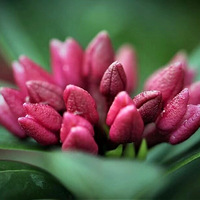 ������÷������