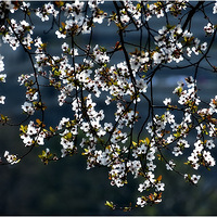 ��������(2)