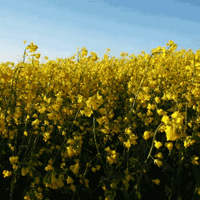 ���磡����ĵ�һ�����磬�ǻ��۸��ġ�