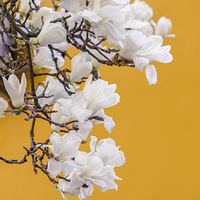 ������ţ���������������500����Ĺ���������