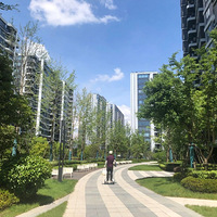 2�·��ɽ�12�ף�δ����Ե�γ�Ϊ���ֵܡ�����������