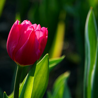 2023����̫����������չ