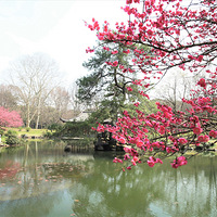 ��ɫ��԰���ϣ�