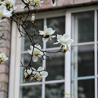 ΢����������磬ͤͤ�����д�����