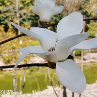 �������������ⰻȻ