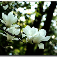 Ө������������