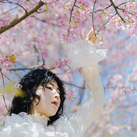 ǡ�þ�����ǡ������