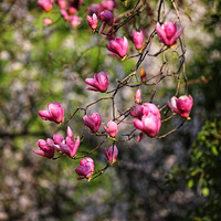 �������������֣��Ե��������ϰ���