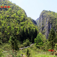 63.��(����)�����Σ�����(2)��ʩ��Ͽ�ȡ��ط졢ǧ����÷