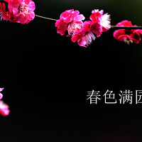 ��ɫ��԰���У�