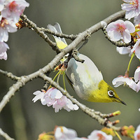 ��ɽӣ���ϵ�������3��