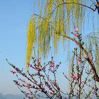 ���������һ���