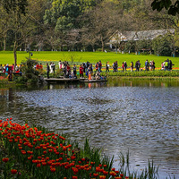 ̫������Щ����