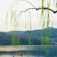 ����ӳ��ϼ