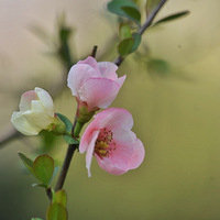 ��Ӳ���Ļ���