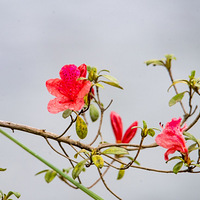 �糿��������������