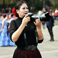 ����֮��ɫ275-��֮���ɵ���㳡������������2