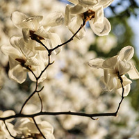 ����ӨȻ��лͥ��������ů����ܰ��