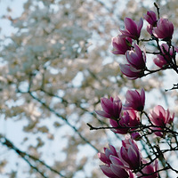 ���´�������������һ���ĺ�����ô�Ķ��ÿ���