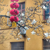 ��ϲ�¿��л�