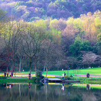 ̫���崺ɫ������