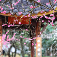 ���̽÷��3��