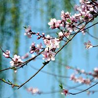 �����һ�