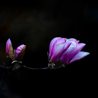 ��Ӱ��涣���������