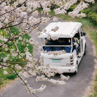 ����ӣ����