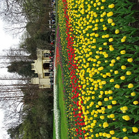 ̫����������