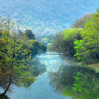 ԡ������紺