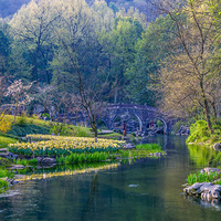 ���ݻ��£�һ��һ�ȵ�̫���幫԰�����㻨չ