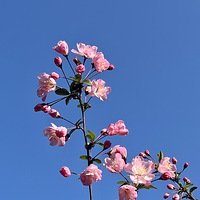 ����ӭ��