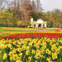 ̫�������������