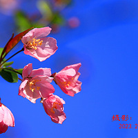 �����ĵĴ�˿����