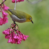 ɽӣ���ϵ�������11��