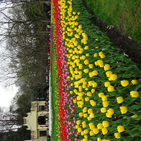 ̫����������֮��