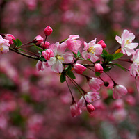 ��˿���Ļ���