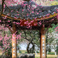 ���̽÷��4��